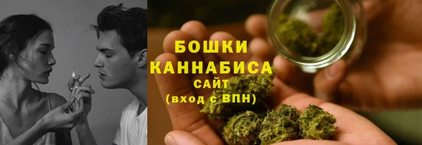 дурь Бородино