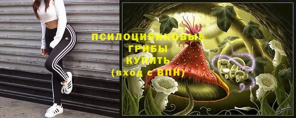 MDMA Верхний Тагил