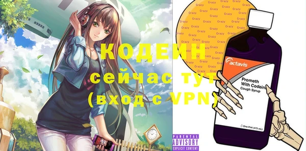 дурь Бородино