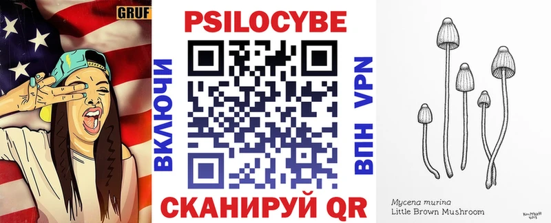 Галлюциногенные грибы Psilocybine cubensis  Купить где  Гатчина 